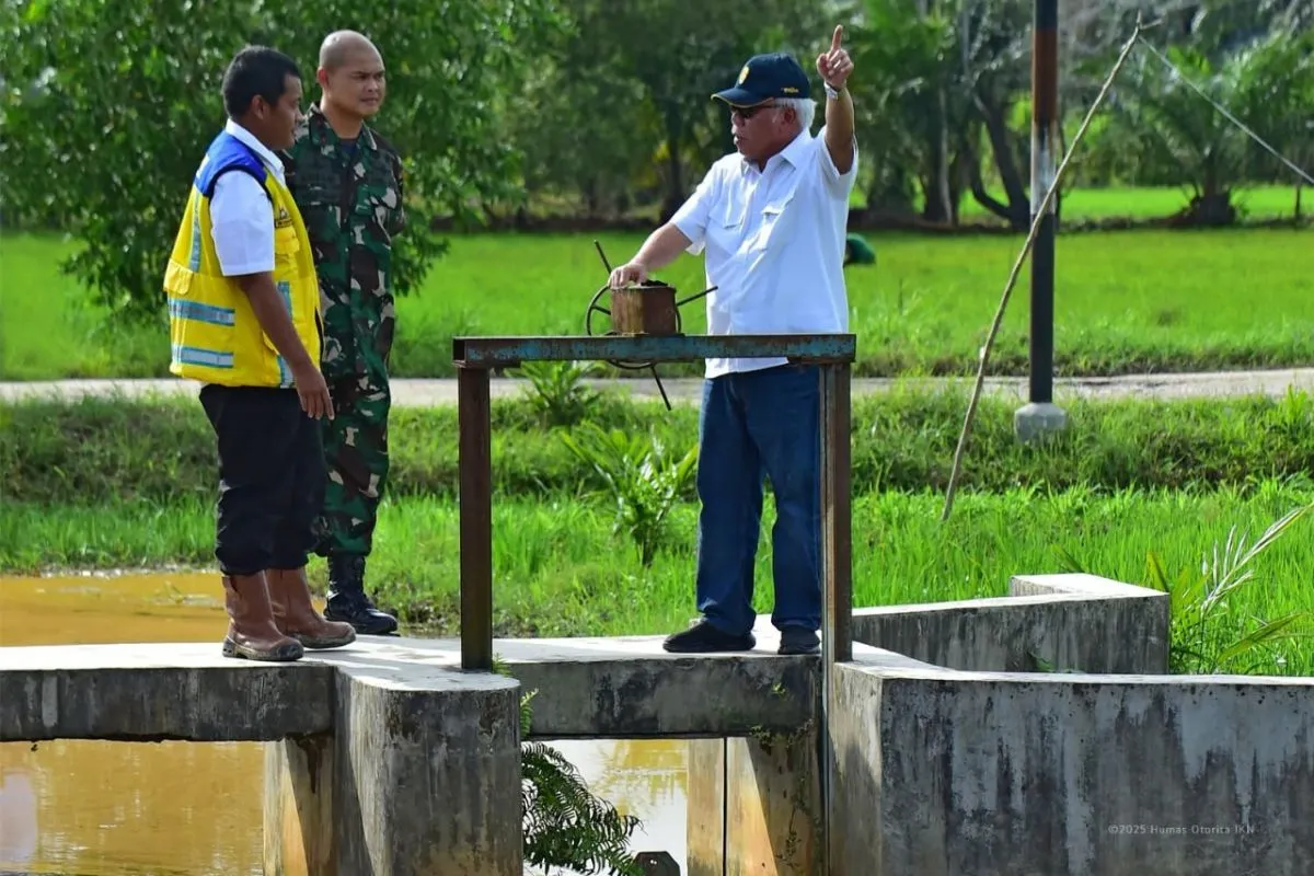 Irigasi Sebakung Dukung Swasembada Pangan untuk IKN